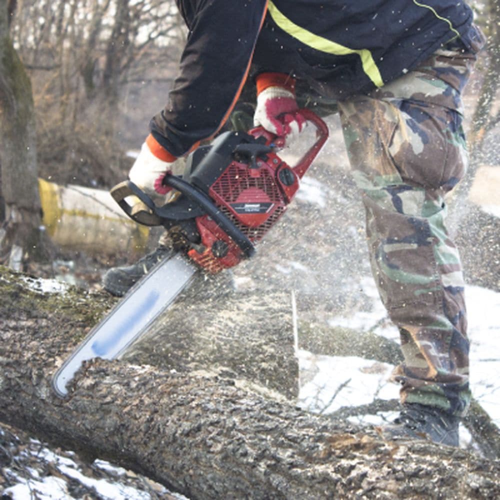 EMERGENCY TREE REMOVAL 